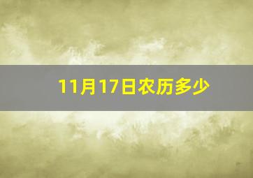 11月17日农历多少