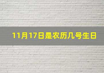 11月17日是农历几号生日