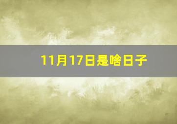 11月17日是啥日子