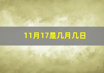 11月17是几月几日