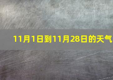 11月1日到11月28日的天气