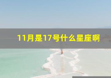 11月是17号什么星座啊