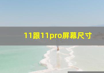 11跟11pro屏幕尺寸