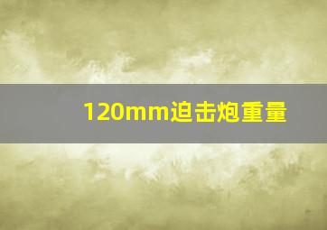 120mm迫击炮重量