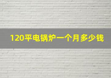 120平电锅炉一个月多少钱