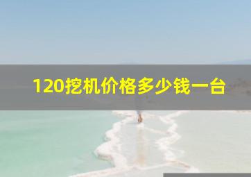 120挖机价格多少钱一台