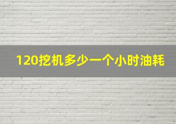 120挖机多少一个小时油耗