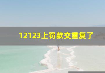 12123上罚款交重复了