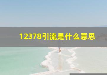 12378引流是什么意思