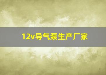 12v导气泵生产厂家