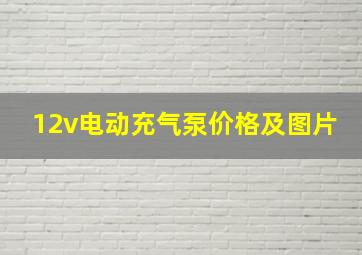 12v电动充气泵价格及图片