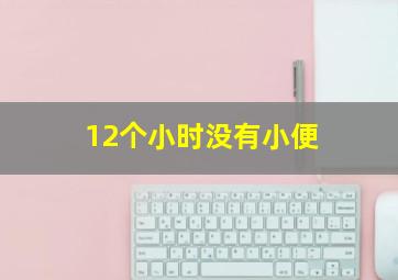 12个小时没有小便