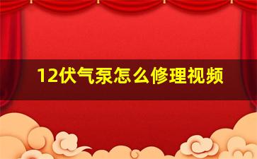 12伏气泵怎么修理视频