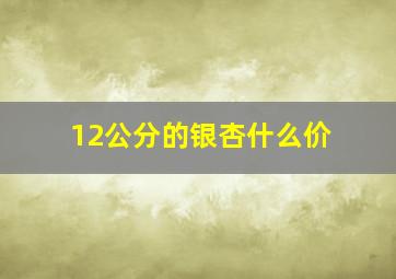 12公分的银杏什么价