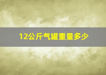 12公斤气罐重量多少