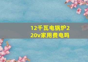 12千瓦电锅炉220v家用费电吗