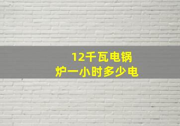 12千瓦电锅炉一小时多少电