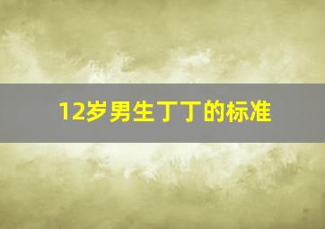 12岁男生丁丁的标准