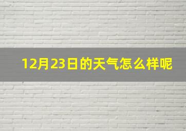 12月23日的天气怎么样呢