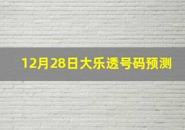 12月28日大乐透号码预测