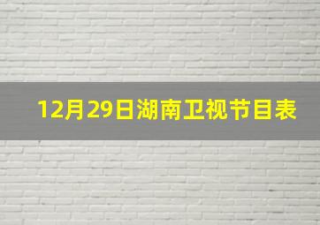 12月29日湖南卫视节目表