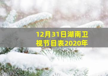 12月31日湖南卫视节目表2020年