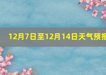 12月7日至12月14日天气预报