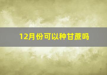 12月份可以种甘蔗吗