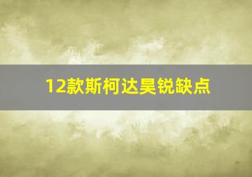 12款斯柯达昊锐缺点