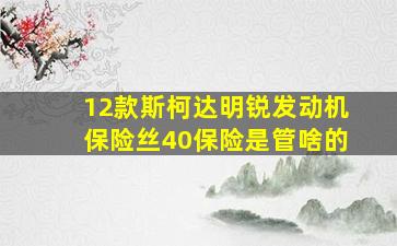 12款斯柯达明锐发动机保险丝40保险是管啥的