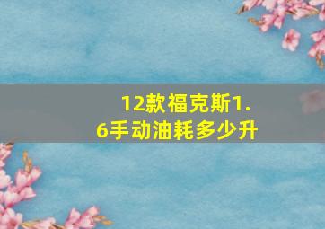 12款福克斯1.6手动油耗多少升