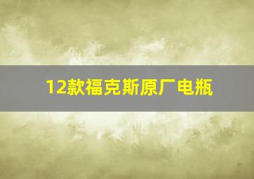 12款福克斯原厂电瓶