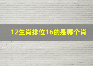 12生肖排位16的是哪个肖