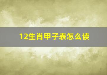 12生肖甲子表怎么读