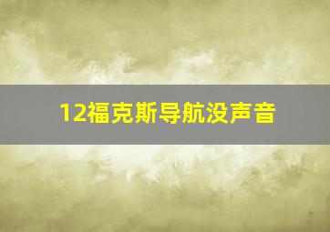 12福克斯导航没声音