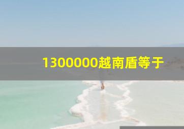 1300000越南盾等于