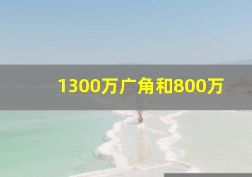 1300万广角和800万