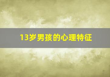 13岁男孩的心理特征