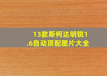 13款斯柯达明锐1.6自动顶配图片大全