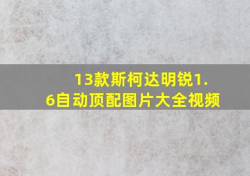 13款斯柯达明锐1.6自动顶配图片大全视频