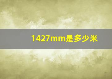 1427mm是多少米