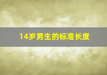 14岁男生的标准长度