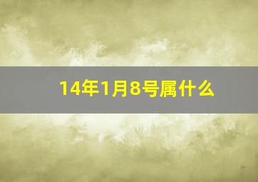 14年1月8号属什么