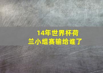 14年世界杯荷兰小组赛输给谁了