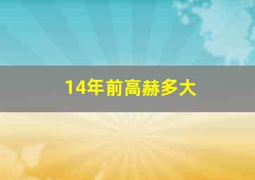 14年前高赫多大