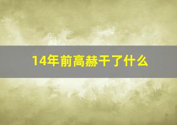 14年前高赫干了什么