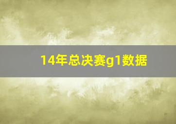 14年总决赛g1数据