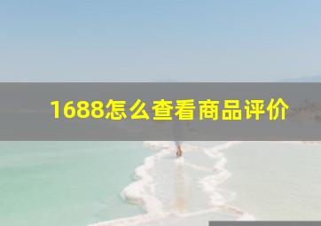 1688怎么查看商品评价