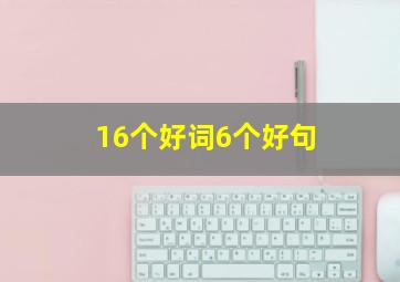 16个好词6个好句