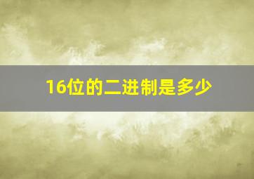 16位的二进制是多少